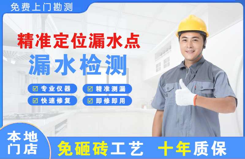 西和精准测漏点